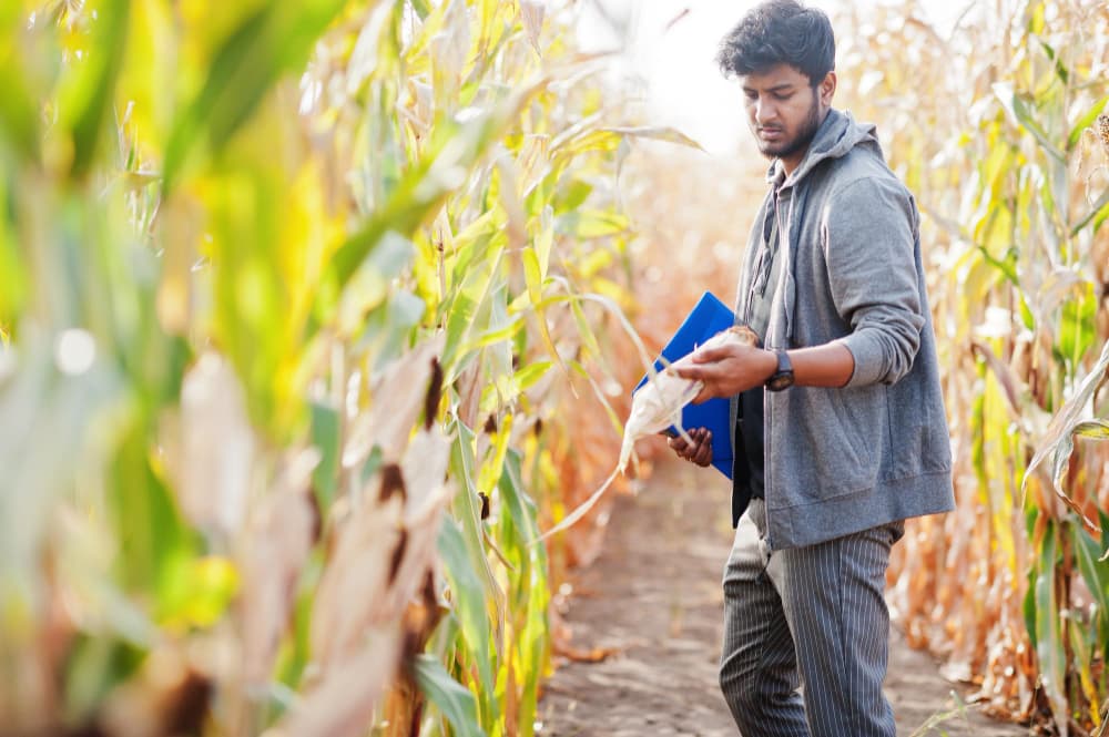 কৃষি খাতে বিনিয়োগের ভবিষ্যৎ ও সম্ভাবনা